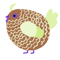 A brown and apple chicken with a lace pattern