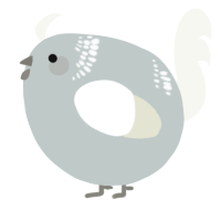A silver and white chicken with a neck-band pattern