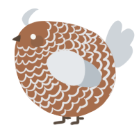 A brown and mist chicken with a lace pattern