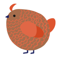 A brown and vermilion chicken with a lace pattern