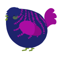 A navy and plum chicken with a half-bar pattern