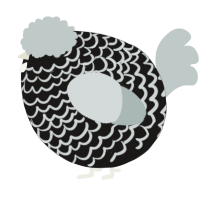 A sable and silver chicken with a lace pattern