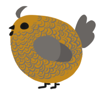 A ochre and grey chicken with a double-lace pattern