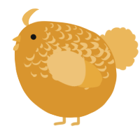 A orange and honey chicken with a half-lace pattern