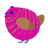 A fuchsia and brown chicken with a bar pattern