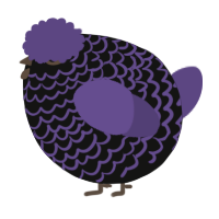 A black and overcast chicken with a lace pattern