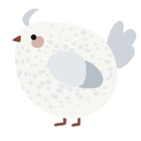 A white and mist chicken with a speckle pattern