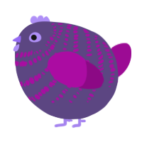 A overcast and plum chicken with a bar pattern
