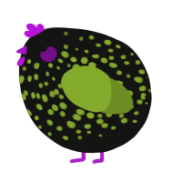 A black and chartreuse chicken with a speckle pattern
