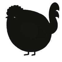 A black chicken with a lace pattern