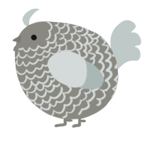 A ash and silver chicken with a lace pattern