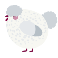 A white and mist chicken with a speckle pattern