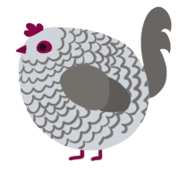 A mist and grey chicken with a lace pattern