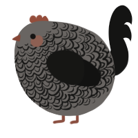 A grey and black chicken with a double-lace pattern
