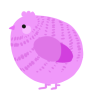 A lavender and orchid chicken with a bar pattern