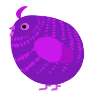 A violet and amethyst chicken with a bar pattern