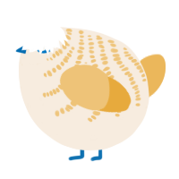 A cream and honey chicken with a half-bar pattern