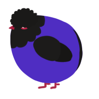 A indigo and sable chicken with a head pattern