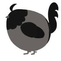 A grey and black chicken with a head pattern