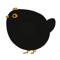 A black chicken