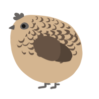 A beige and bark chicken with a half-lace pattern