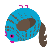 A cerulean and bark chicken with a bar pattern