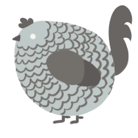 A silver and grey chicken with a lace pattern