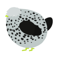 A silver and black chicken with a speckle pattern
