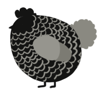 A black and ash chicken with a lace pattern