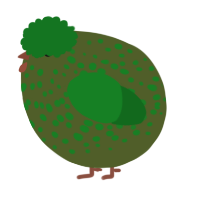 A olive and leaf chicken with a speckle pattern
