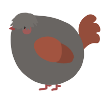 A grey and russet chicken