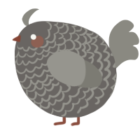 A grey and ash chicken with a lace pattern