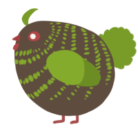 A bark and chartreuse chicken with a bar pattern