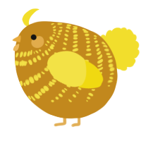 A ochre and yellow chicken with a bar pattern