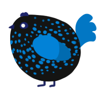 A black and sapphire chicken with a speckle pattern