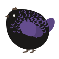 A sable and overcast chicken with a half-lace pattern