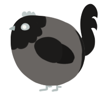 A grey and sable chicken with a head pattern