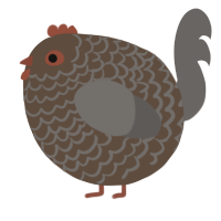 A bark and grey chicken with a lace pattern