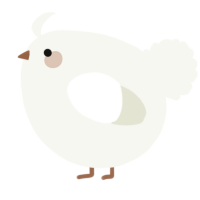 A white chicken