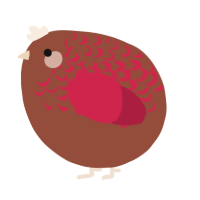 A russet and crimson chicken with a half-lace pattern