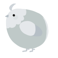 A silver and mist chicken with a head pattern