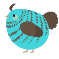 A aqua and bark chicken with a bar pattern