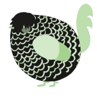 A sable and gluppy chicken with a lace pattern