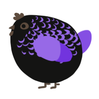 A black and blurple chicken with a half-lace pattern