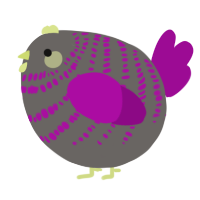 A grey and plum chicken with a bar pattern