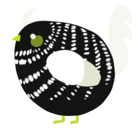 A black and white chicken with a bar pattern