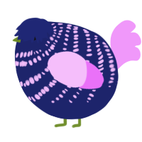 A navy and lavender chicken with a bar pattern