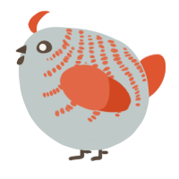 A silver and vermilion chicken with a half-bar pattern