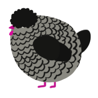 A ash and black chicken with a lace pattern