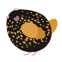 A sable and orange chicken with a speckle pattern